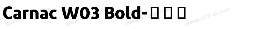 Carnac W03 Bold字体转换